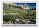 Thumbnail-13