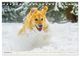 Thumbnail-14