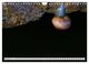 Thumbnail-14