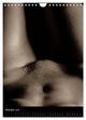 Thumbnail-12
