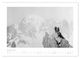 Thumbnail-10