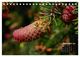 Thumbnail-14