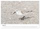 Thumbnail-10