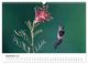 Thumbnail-14