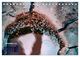 Thumbnail-13