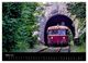Thumbnail-8