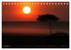 Thumbnail-14