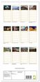 Thumbnail-7