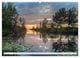Thumbnail-10