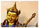 Thumbnail-11