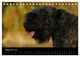 Thumbnail-11