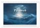 Thumbnail-11