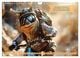 Thumbnail-8
