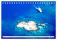 Thumbnail-10