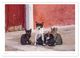 Thumbnail-2