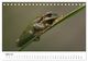 Thumbnail-9