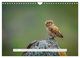 Thumbnail-9