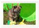 Thumbnail-13