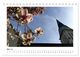 Thumbnail-10