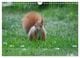 Thumbnail-11