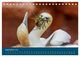 Thumbnail-14