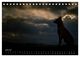 Thumbnail-11