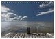 Thumbnail-14