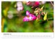 Thumbnail-14