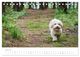 Thumbnail-12