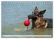 Thumbnail-8