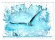 Thumbnail-14