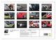 Thumbnail-9