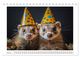 Thumbnail-9