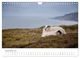 Thumbnail-14