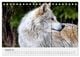 Thumbnail-13