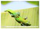 Thumbnail-10