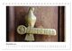 Thumbnail-13