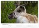Thumbnail-14