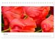 Thumbnail-12