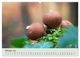 Thumbnail-12