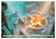 Thumbnail-13