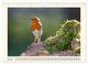 Thumbnail-8