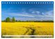 Thumbnail-10