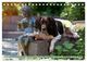 Thumbnail-10