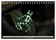 Thumbnail-12