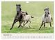 Thumbnail-13