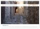 Thumbnail-14