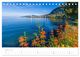 Thumbnail-8