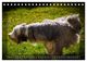 Thumbnail-12