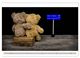 Thumbnail-8